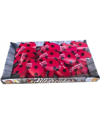 Pyrotechnika Motyl Biedronka 12ks